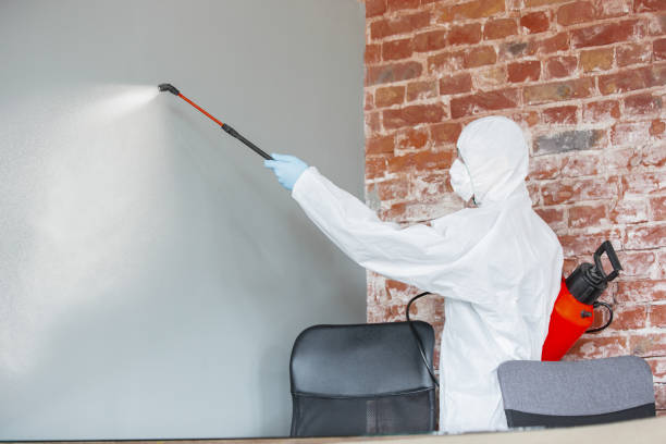 Best Emergency Mold Remediation  in , IA